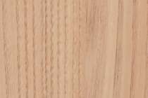 Chestnut