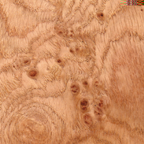 Pippy Oak